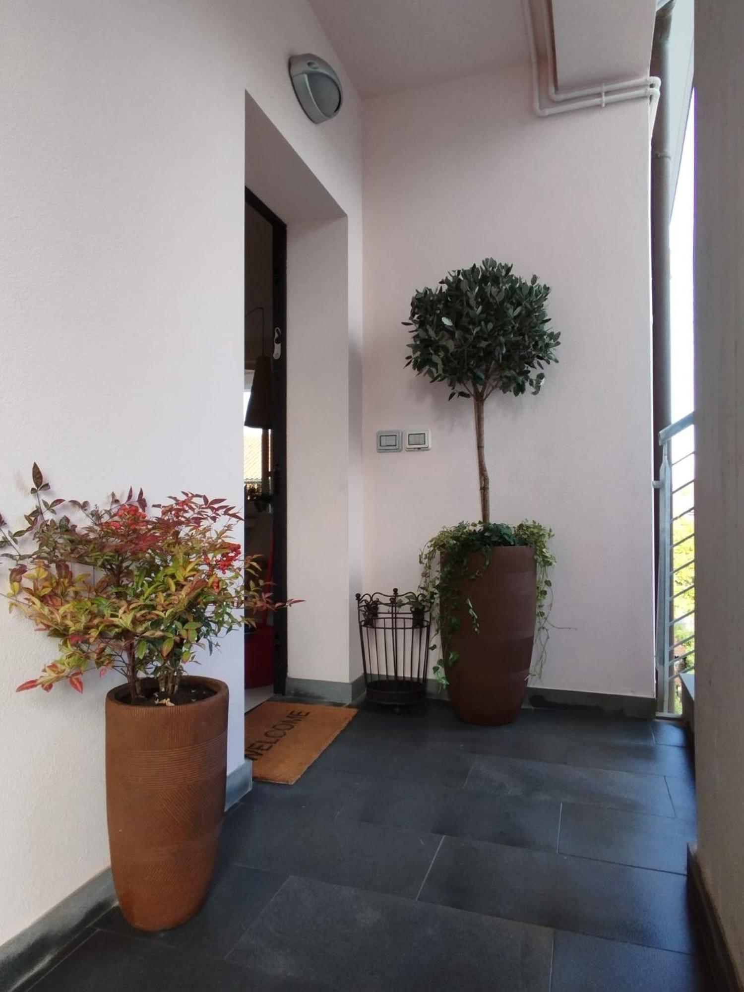Casa Degli Aromi Apartment Lucca Exterior foto